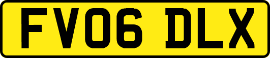 FV06DLX