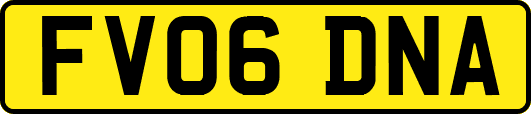 FV06DNA