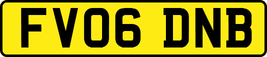 FV06DNB