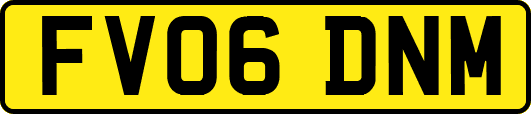 FV06DNM
