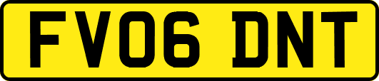FV06DNT