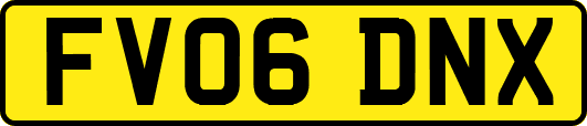 FV06DNX