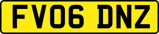 FV06DNZ