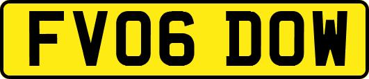 FV06DOW