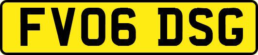 FV06DSG