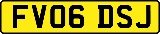 FV06DSJ