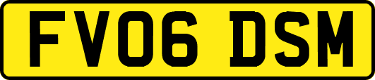 FV06DSM