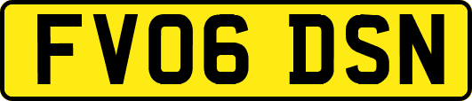 FV06DSN