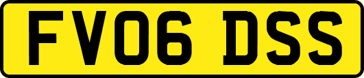 FV06DSS