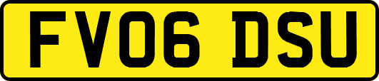 FV06DSU
