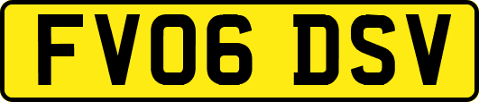 FV06DSV