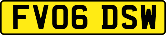 FV06DSW