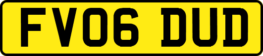 FV06DUD
