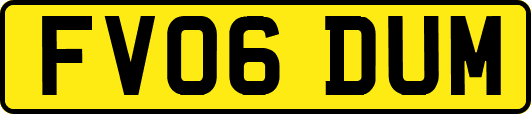 FV06DUM