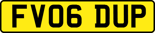 FV06DUP