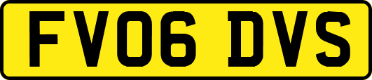 FV06DVS