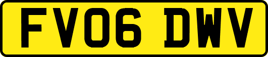 FV06DWV