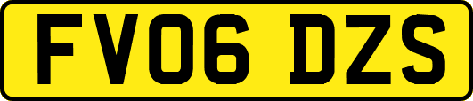 FV06DZS