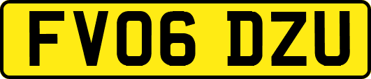 FV06DZU