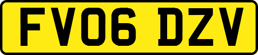 FV06DZV