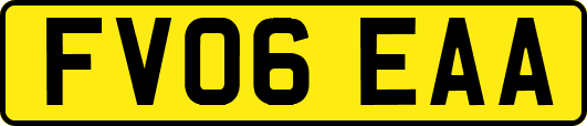 FV06EAA