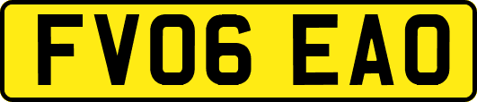 FV06EAO