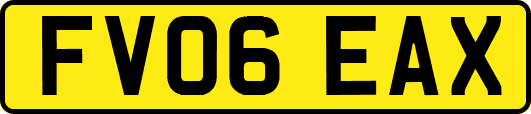 FV06EAX