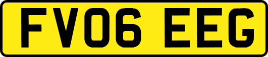 FV06EEG