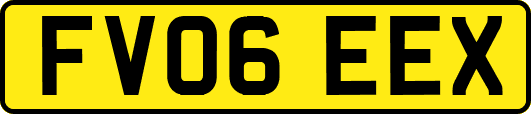 FV06EEX