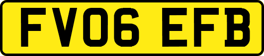 FV06EFB