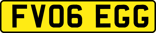 FV06EGG