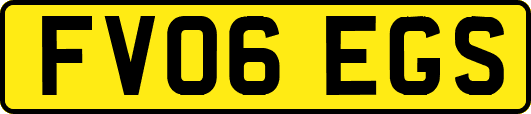 FV06EGS