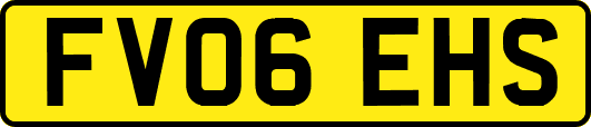 FV06EHS