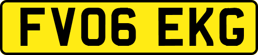 FV06EKG