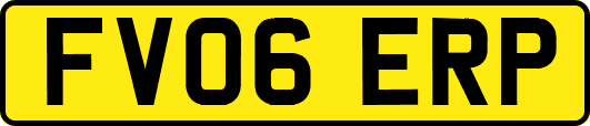 FV06ERP