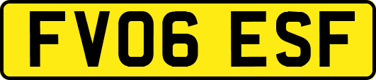FV06ESF