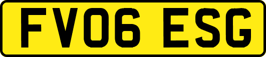 FV06ESG