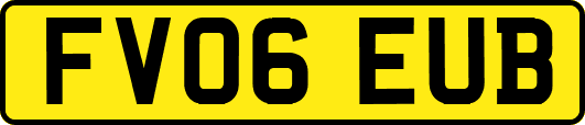 FV06EUB