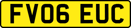 FV06EUC
