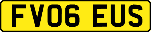 FV06EUS