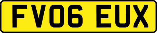 FV06EUX