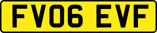 FV06EVF
