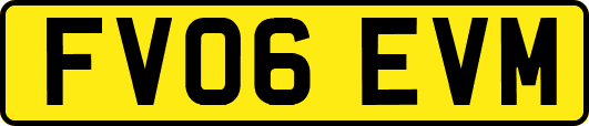FV06EVM