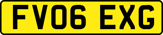 FV06EXG