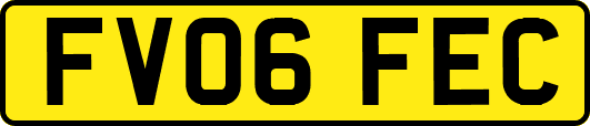 FV06FEC