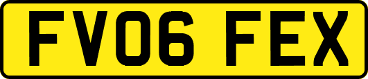 FV06FEX