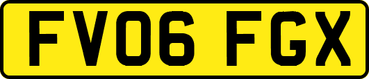 FV06FGX