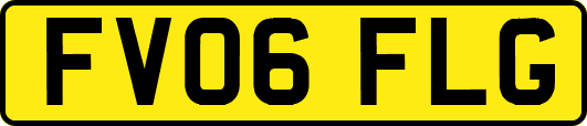 FV06FLG