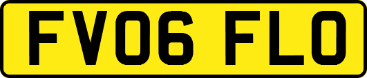 FV06FLO