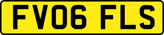 FV06FLS